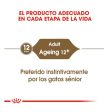 Royal Canin Senior Ageing +12 85 gr (Sobre gelatina) Online Hot Sale