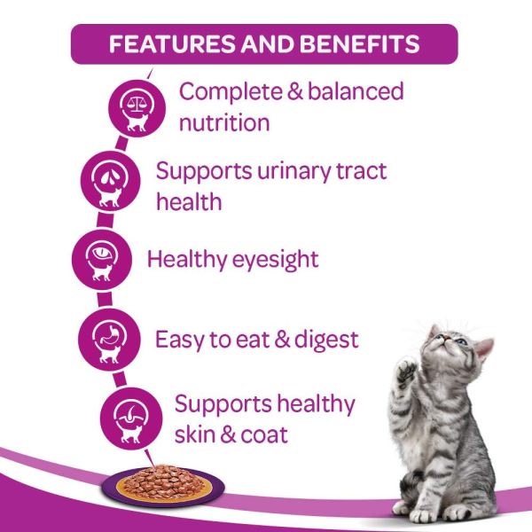 Whiskas Salmon in Gravy Meal and Tuna in Jelly Meal Adult Cat Wet Food Combo on Sale