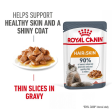 Royal Canin Hair & Skin Care Adult Gravy Cat Wet Food Fashion