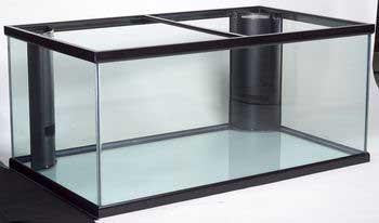 200 Gallon Tank Starphire W- 2 Cornerflo on Sale