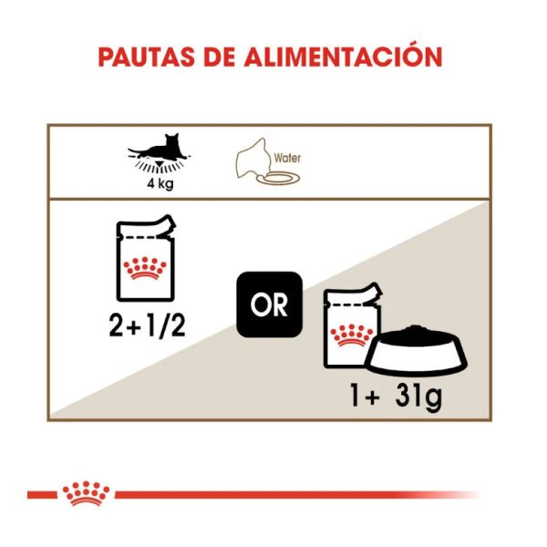 Royal Canin Senior Ageing +12 85 gr (Sobre gelatina) Online Hot Sale