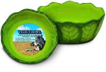 Super Pet Vege-T-Bowl,Cabbage Supply