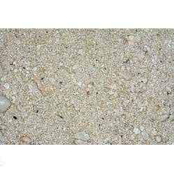 CaribSea Ocean Direct Natural Live Sand 40lb on Sale