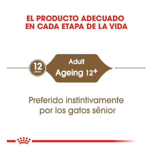 Royal Canin Senior Ageing +12 85 gr (Sobre salsa) Cheap