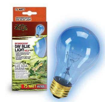 Zilla Day Blue Bulb Boxed 75 Watts Online Sale