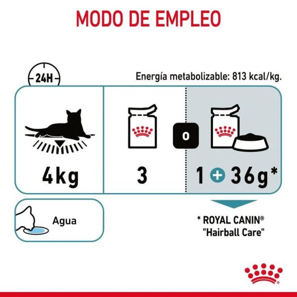 Royal Canin Adult Hairball Care Online Hot Sale