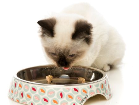 FUZZYARD CAT BOWL - SUSHI DELIGHT Discount