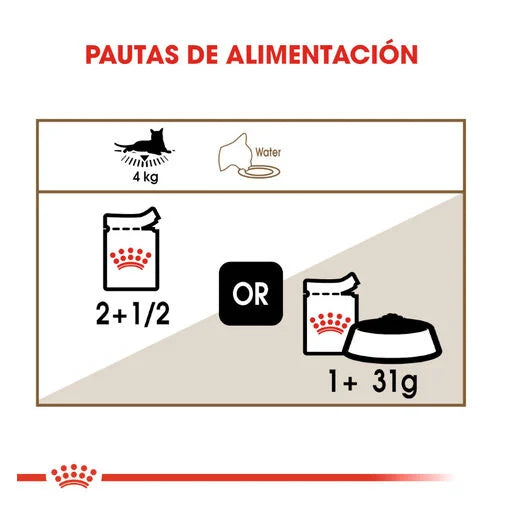 Royal Canin Senior Ageing +12 85 gr (Sobre salsa) Cheap