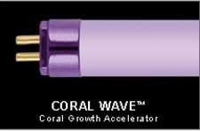 Wavepoint Coral Wave 24 W 21  HO T5 Coral Growth Lamp Cheap