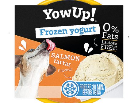 YowUP! Yogur Helado de Tartar de Salmón 110g Online