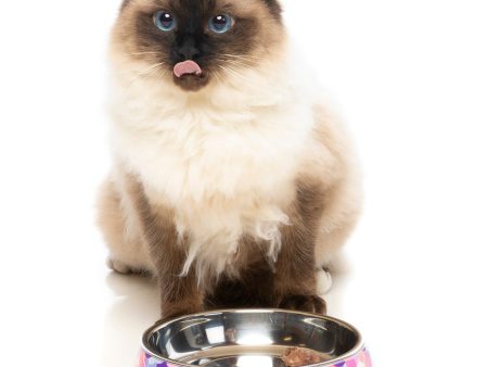 FUZZYARD CAT BOWL - ATLANTICA For Discount