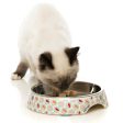 FUZZYARD CAT BOWL - SUSHI DELIGHT Discount