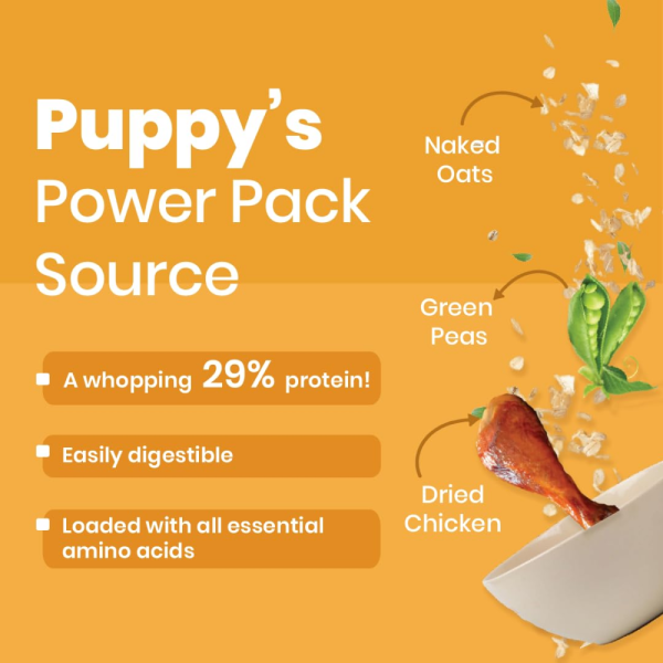 Bark Out Loud Chicken & Ancient Grains Puppy Dry Food Online Hot Sale