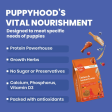 Bark Out Loud Chicken & Ancient Grains Puppy Dry Food Online Hot Sale