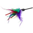 Trixie Playing Rod with Feathers and Leather Straps Toy for Cats Combo Sale