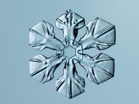 Sectored Plate Snowflake 004.2.16.2014 on Sale