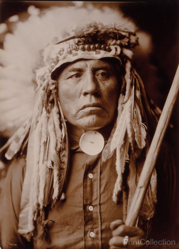 Curley - Apsaroke, Native American, by Edward Curtis Cheap