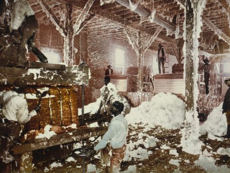 Mississippi Cotton Gin at Dahomey Sale