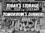 Today s Storage, Tomorrow s Dinner For Cheap