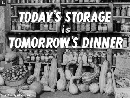 Today s Storage, Tomorrow s Dinner For Cheap