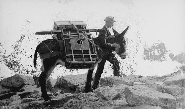 See America, Badlands National Park Supply