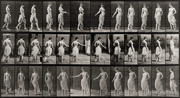 Animal Locomotion, Partially Nude Woman walking and turning Cheap