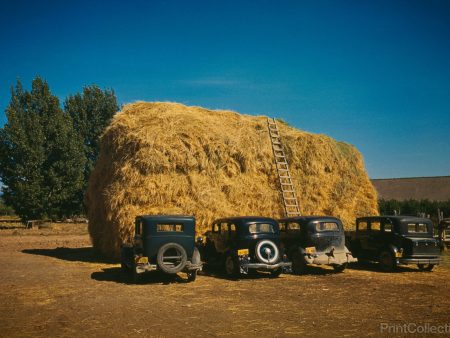 Hay Stack and Automobiles, 1940 Hot on Sale