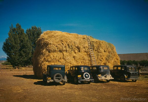 Hay Stack and Automobiles, 1940 Hot on Sale