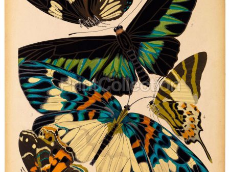 Butterflies Plate 10, E.A. Seguy on Sale