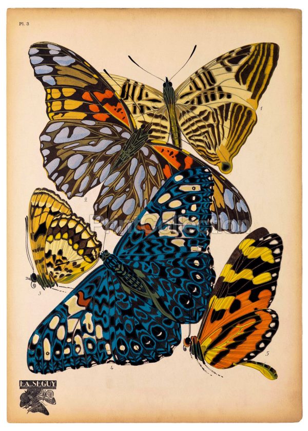 Butterflies Plate 3, E.A. Seguy For Sale