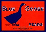 Blue Goose Pears For Discount