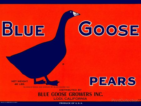 Blue Goose Pears For Discount