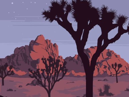 See America, Joshua Tree National Park For Cheap