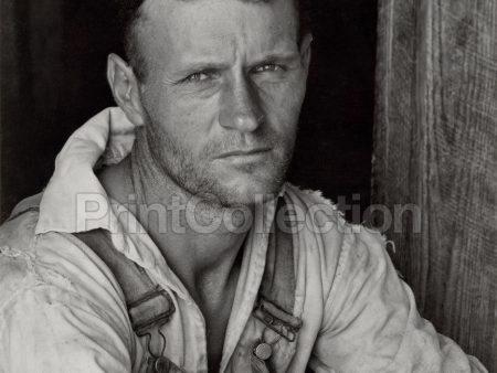 Floyd Burroughs, Sharecropper, By Walker Evans Supply