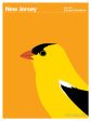 New Jersey Eastern Goldfinch Online Sale