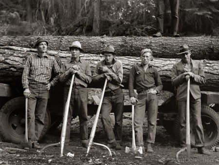 American Loggers, 1939 Online Sale