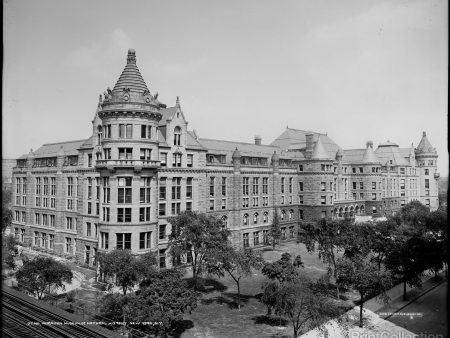 American Museum of Natural History, New York, N.Y. Online now