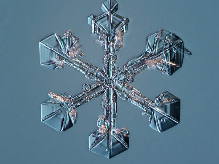 Sectored Plate Snowflake 001.3.23.2014 Discount