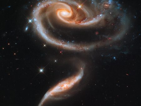 A  Rose  Made of Galaxies Highlights Hubble s 21st Anniversary Cheap