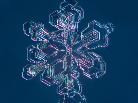 Sectored Plate Snowflake 001.3.13.2014 Discount