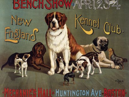 Bench Show. New England Kennel Club on Sale