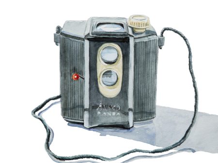 Ansco Panda Camera, Watercolor Painting Discount