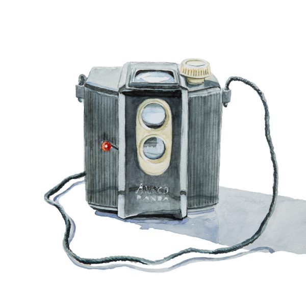 Ansco Panda Camera, Watercolor Painting Discount