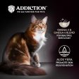 25% OFF + FREE CANNED FOOD: Addiction Duck Royale Grain-Free Dry Cat Food Fashion