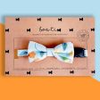 Bowtix Handmade Dog Collar With Removable Bowtie - Kotoritachi (Light Blue) Online Sale