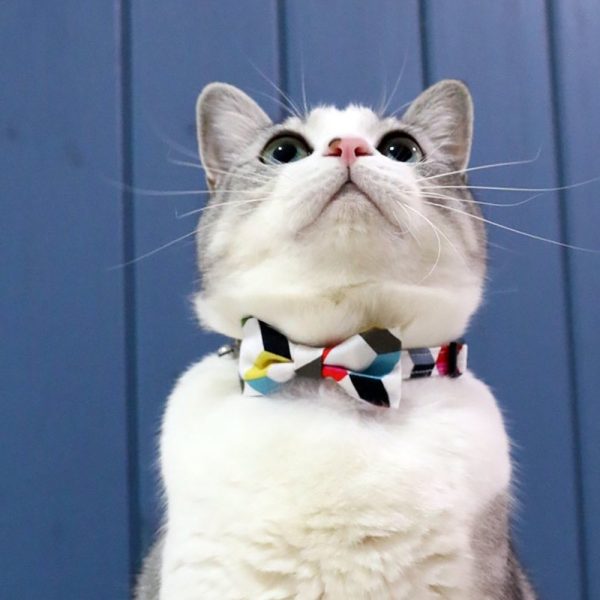 Bowtix Handmade Cat Collar With Removable Bowtie - Candy Strips For Discount