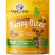 20% OFF: Wellness Crunchy Puppy Bites Chicken & Carrots Recipe Grain-Free Dog Treats 6oz on Sale