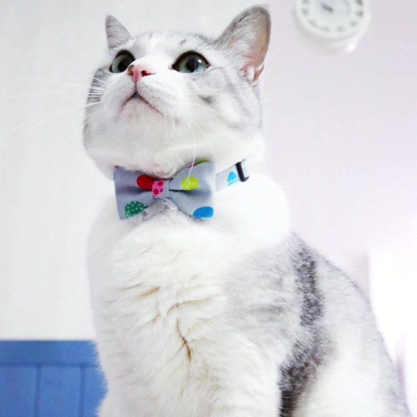 Bowtix Handmade Cat Collar With Removable Bowtie - Color Pops For Discount