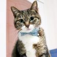 Bowtix Handmade Cat Collar With Removable Bowtie - Kiku Prints Online Sale