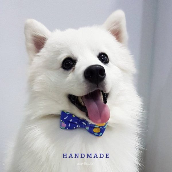 Bowtix Handmade Dog Collar With Removable Bowtie - Kukki Kukkii Clouds Supply